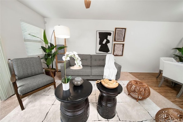 living area featuring wood finished floors