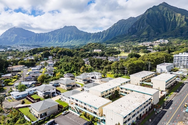 birds eye view of property featuring a mountain view