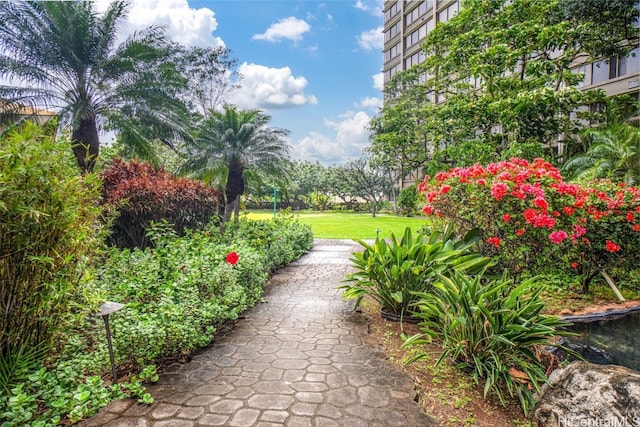 surrounding community featuring a lawn