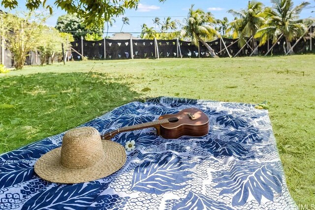 4804 Aukai Ave, Honolulu, HI 96816 - photo 14