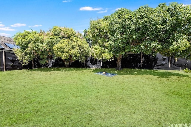 4804 Aukai Ave, Honolulu, HI 96816 - photo 5