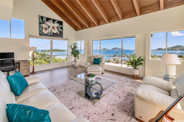 45-081 Lilipuna Rd Unit F, Kaneohe, HI 96744 - living room featuring high vaulted ceiling, wood ceiling with exposed beams, wood finished floors, a water view, and baseboards
