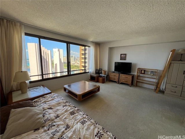 living area featuring a textured ceiling and carpet floors