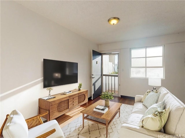 living area featuring wood finished floors and a textured ceiling