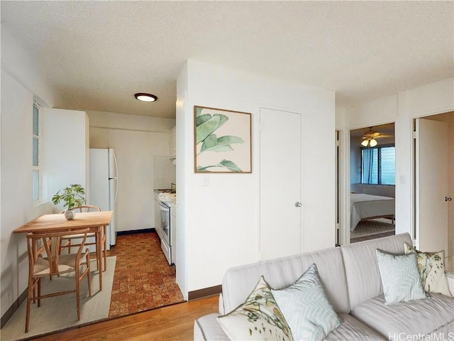 living room featuring light wood-type flooring, baseboards, and a textured ceiling