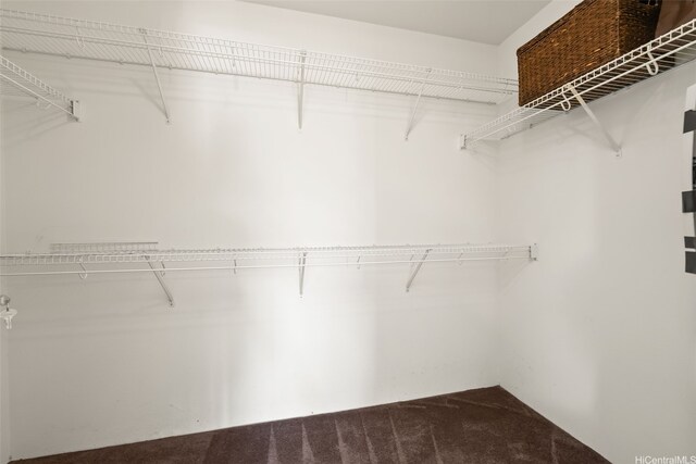 520 Lunalilo Home Rd Unit 8203, Honolulu, HI 96825 - walk in closet with carpet