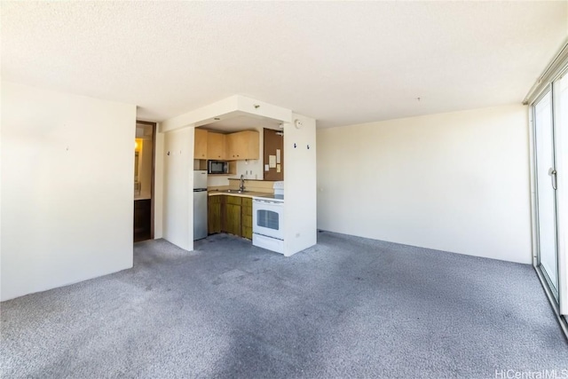 unfurnished living room with light colored carpet and a sink