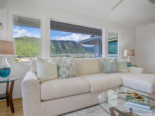 living area featuring a mountain view and wood finished floors