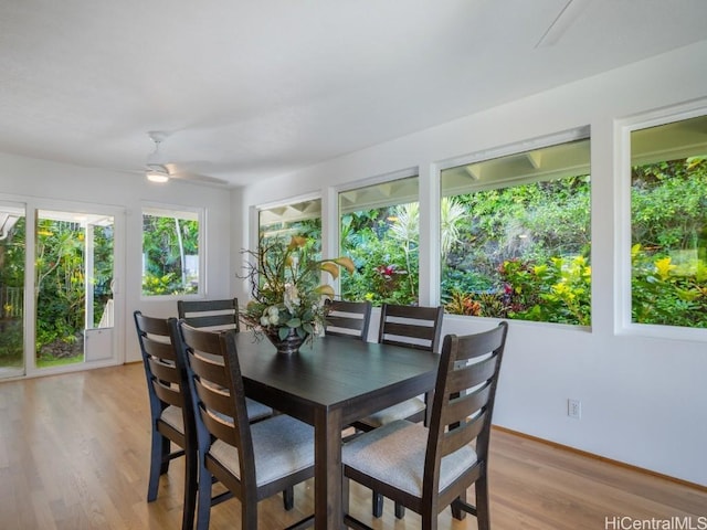 dining room with light wood-style flooring and ceiling fan