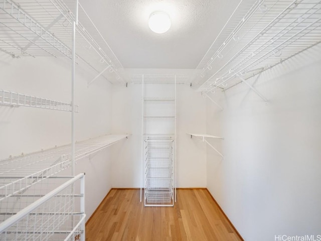 spacious closet with light wood-type flooring