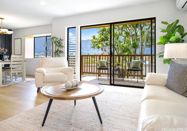 living area featuring an AC wall unit and wood finished floors