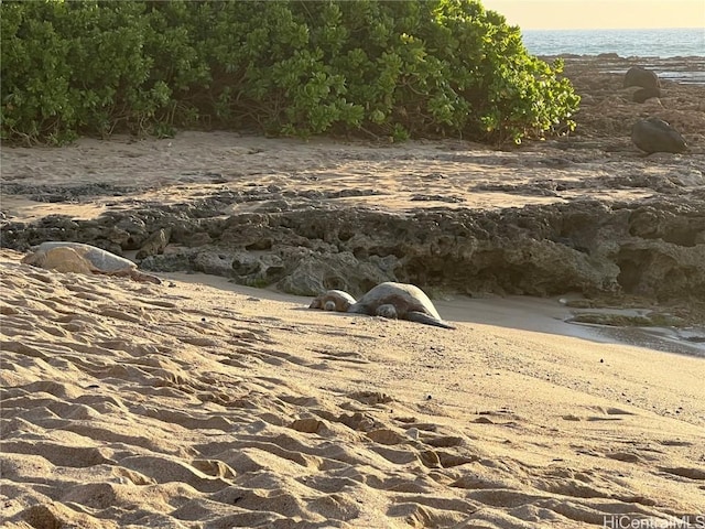 view of nature with a water view