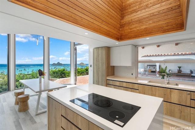 kitchen featuring black electric cooktop, modern cabinets, and a healthy amount of sunlight