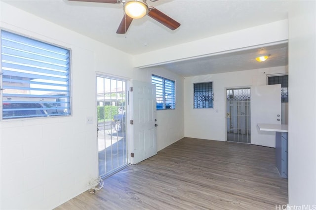 foyer entrance with wood finished floors and ceiling fan