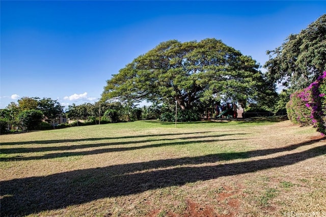 view of yard with playground community