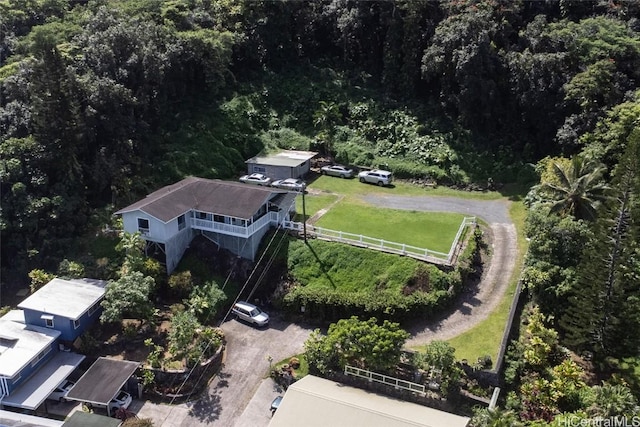 aerial view