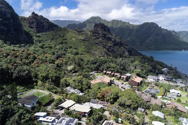 bird's eye view with a view of trees and a water and mountain view