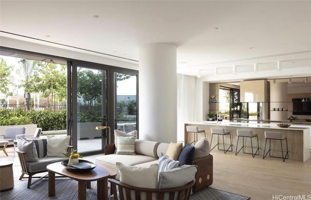 living room featuring a healthy amount of sunlight and light wood finished floors