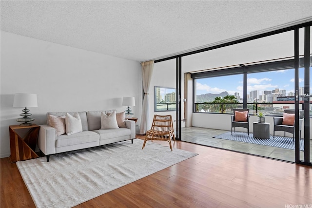 living area with a city view, a textured ceiling, and wood finished floors