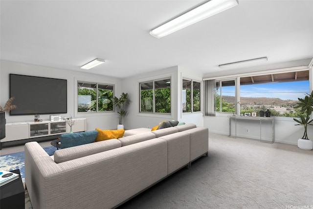 99-426 Poaha Pl, Aiea, HI 96701 - carpeted living room featuring healthy amount of natural light