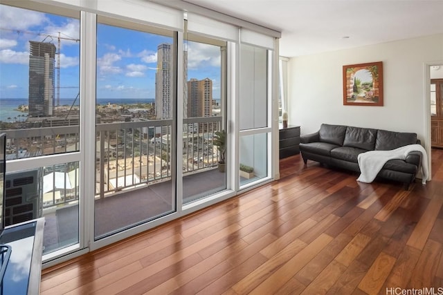 living area featuring a city view, a wall of windows, and wood finished floors