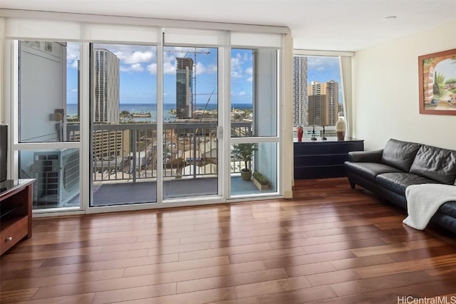 living area featuring a city view, a wall of windows, and wood finished floors