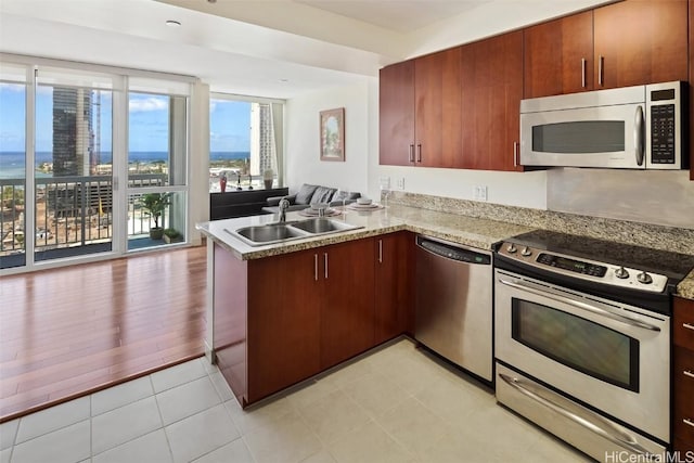 kitchen with a peninsula, a sink, stainless steel appliances, expansive windows, and open floor plan