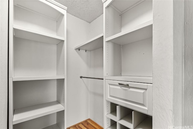 spacious closet with light wood-type flooring