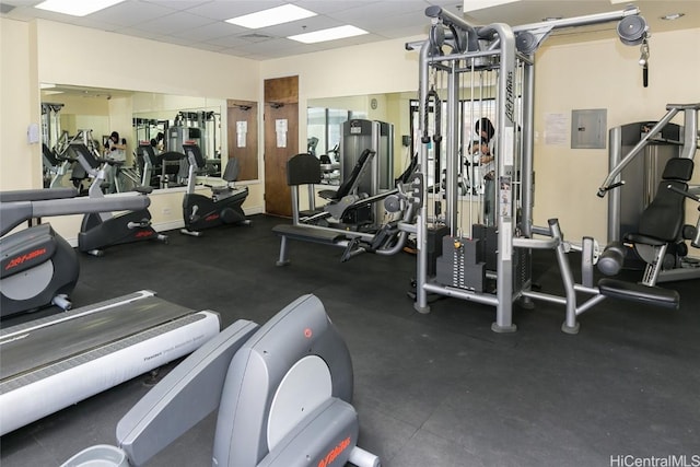 workout area with electric panel and a paneled ceiling