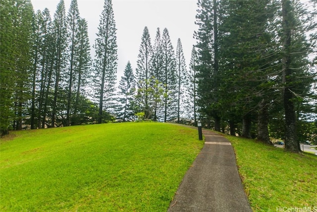 view of home's community featuring a lawn