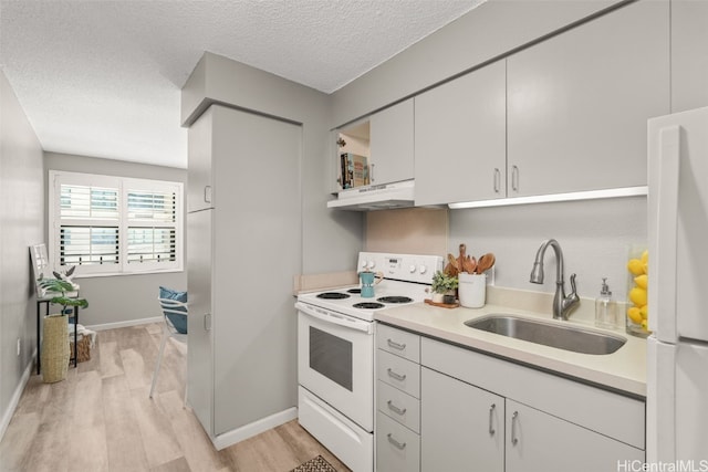 kitchen with under cabinet range hood, light wood-type flooring, light countertops, white appliances, and a sink