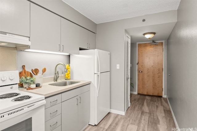 kitchen with white appliances, light wood finished floors, a sink, under cabinet range hood, and a textured ceiling