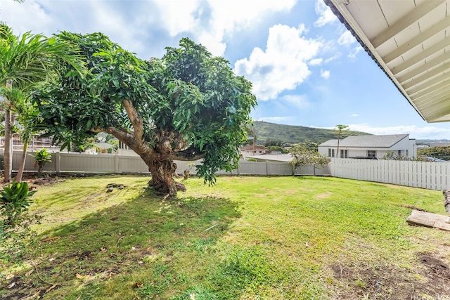 2448A E Manoa Rd, Honolulu, HI 96822 - view of yard