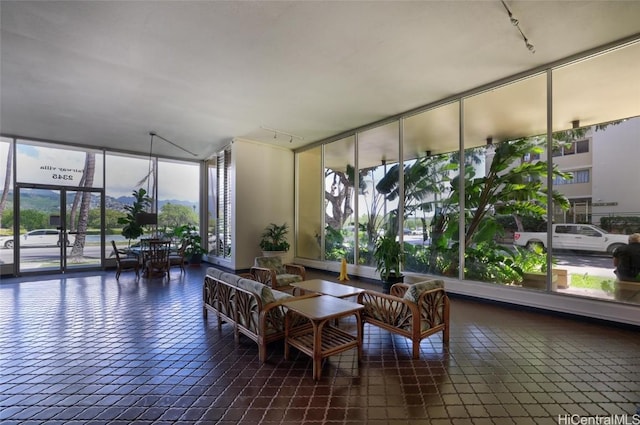 sunroom featuring plenty of natural light and rail lighting