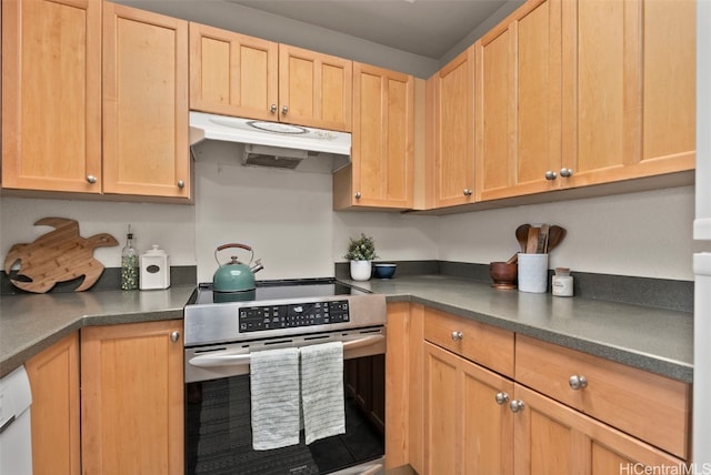 kitchen with under cabinet range hood, electric range, and light brown cabinetry