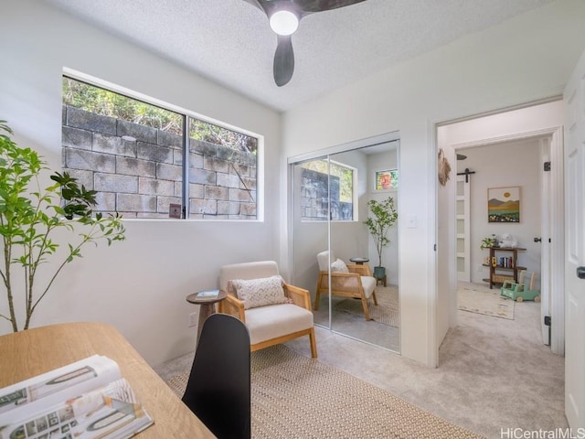 carpeted home office with a ceiling fan and a textured ceiling