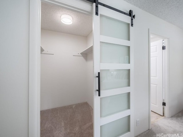 spacious closet with a barn door and carpet flooring