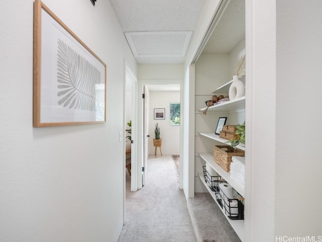 hallway with light carpet