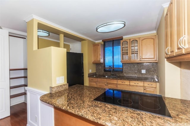 kitchen featuring black appliances, dark stone countertops, a sink, tasteful backsplash, and dark wood finished floors