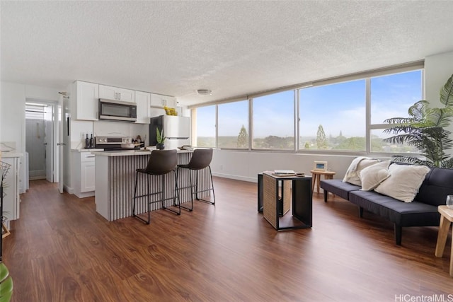 interior space featuring dark wood-type flooring and a textured ceiling