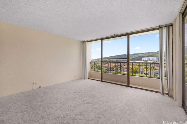 carpeted spare room with a textured ceiling