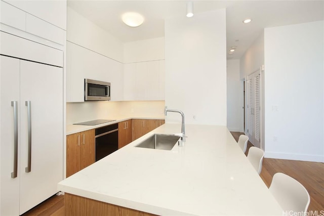 kitchen with a sink, stainless steel microwave, black electric stovetop, and modern cabinets