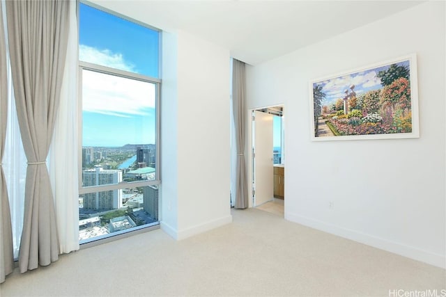 empty room featuring a wall of windows, carpet flooring, and baseboards