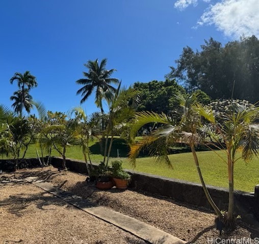 view of property's community featuring a lawn