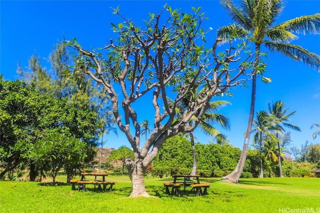 view of property's community with a yard
