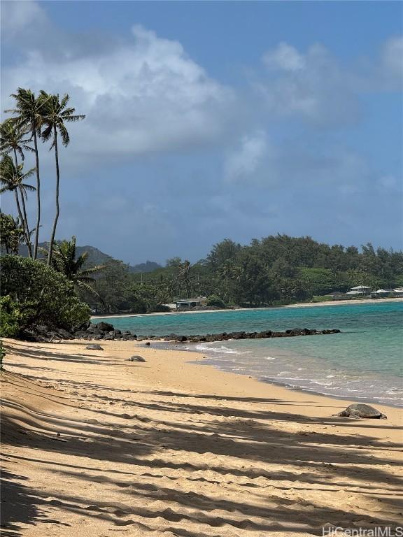 water view featuring a view of the beach