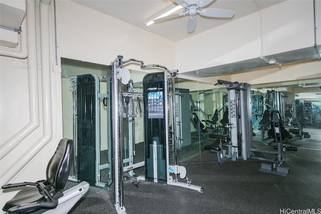 workout area with ceiling fan