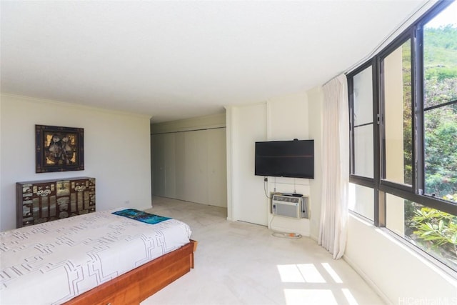 bedroom featuring a closet, multiple windows, and a wall unit AC