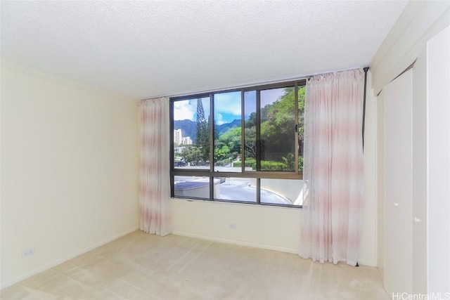 carpeted spare room with a textured ceiling and baseboards