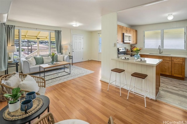 living area with light wood finished floors